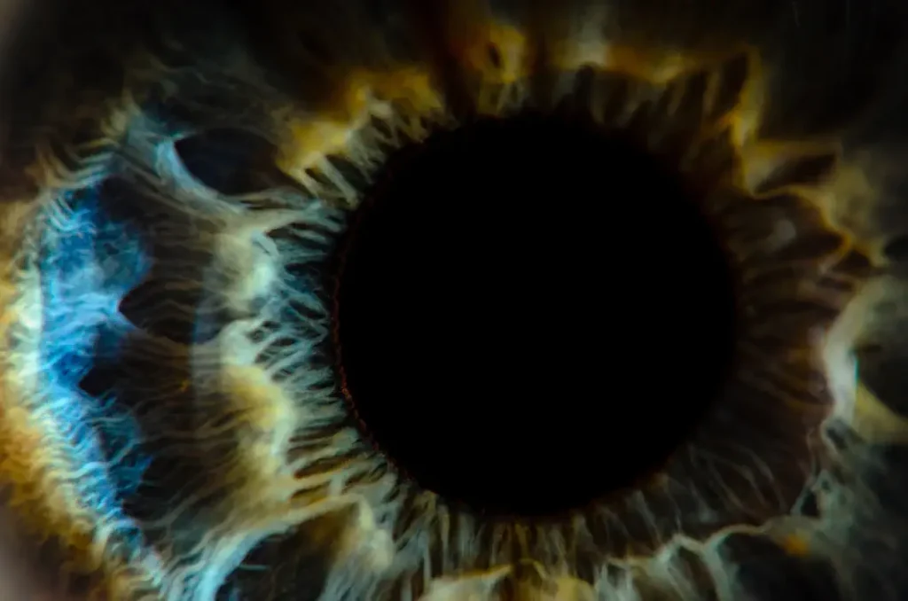 Through The Eyes of a PI